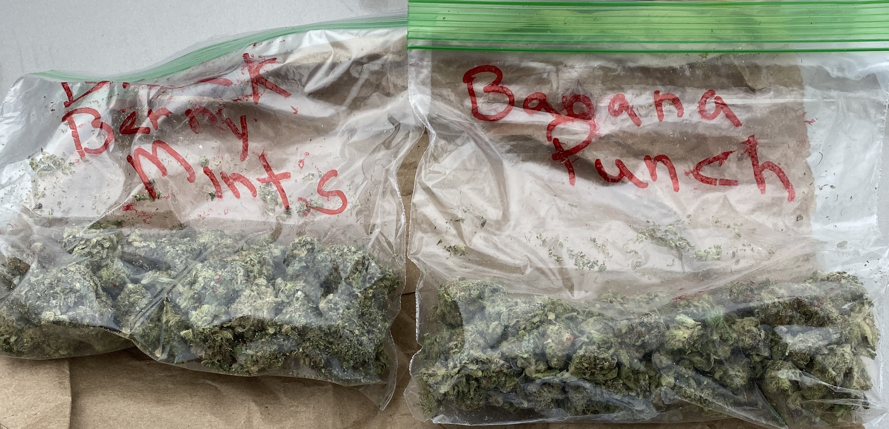 Northwoods Caregiver flower in bags